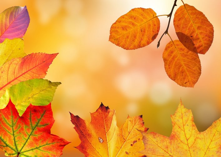 Autumn 1649362 1280